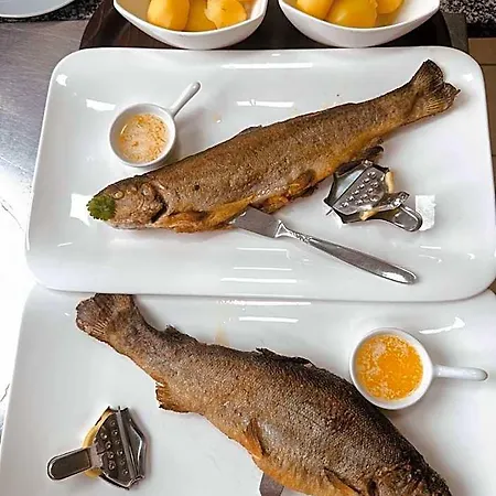 | Restaurant | Forellenzucht * Lehmen